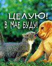 Фотография Максим Неугомонный