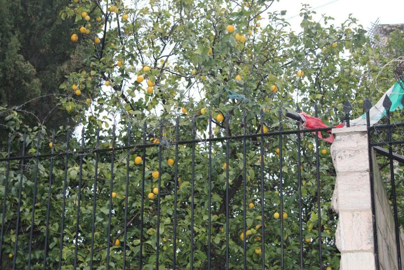 Татьяна Меркульева | Санкт-Петербург