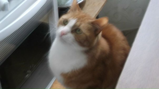 №10, Настенька Прибыткова №10, Настенька Прибыткова