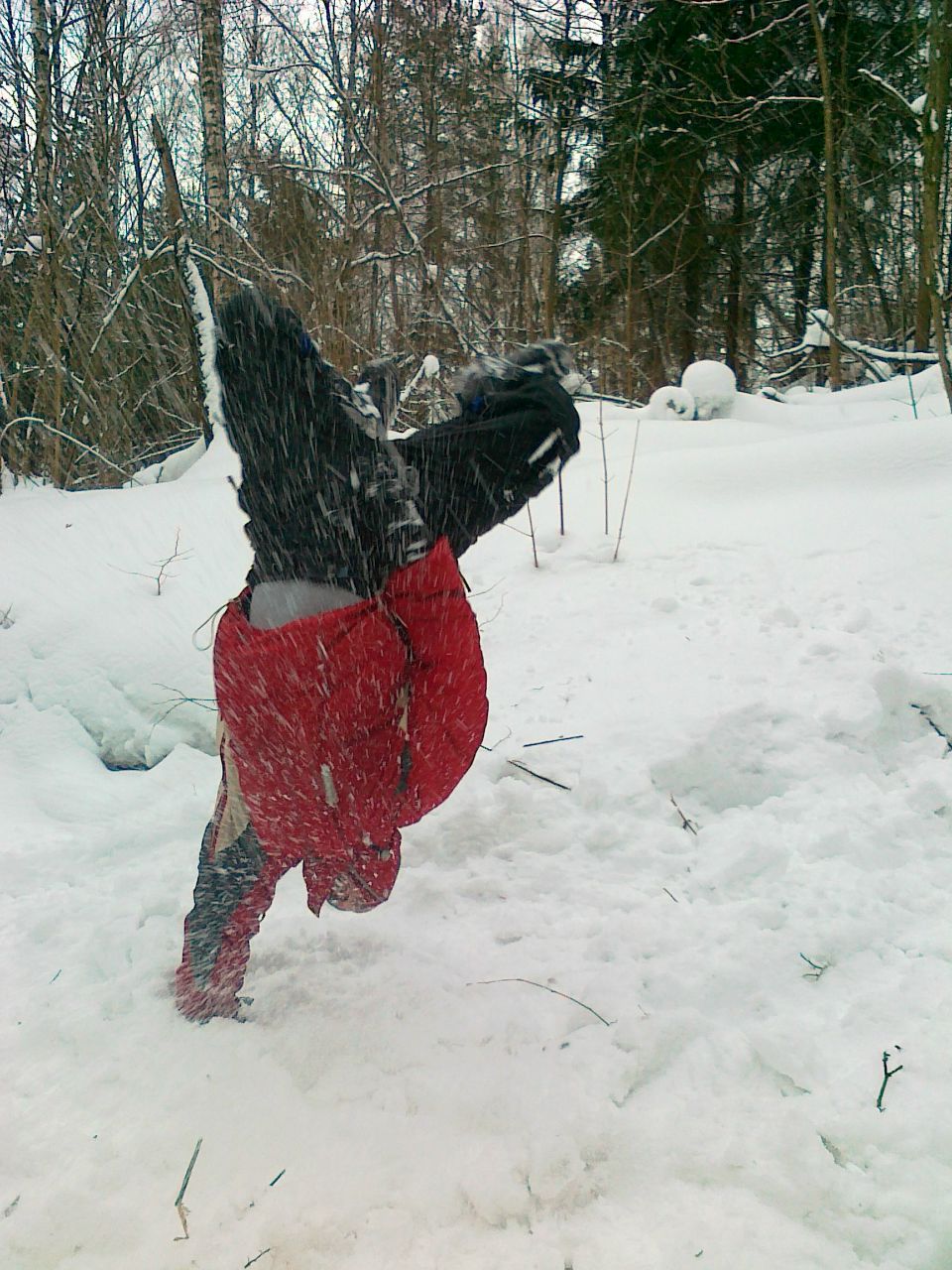 Никита Кошеваров | Москва