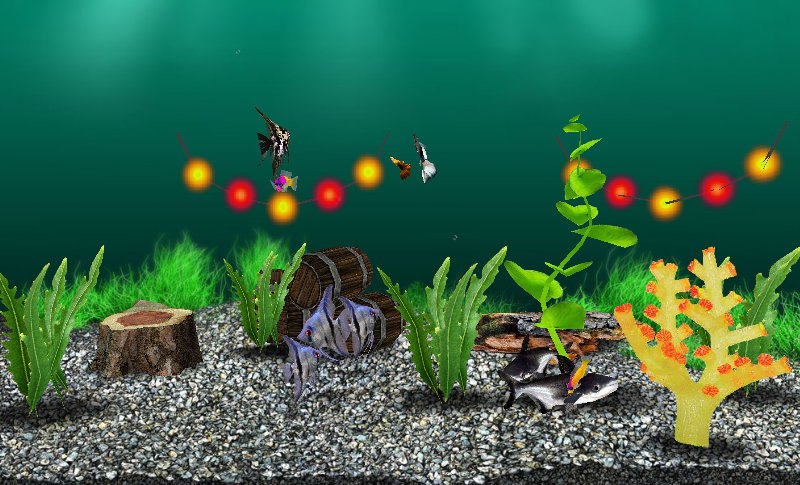 Семен Тарасов | Екатеринбург