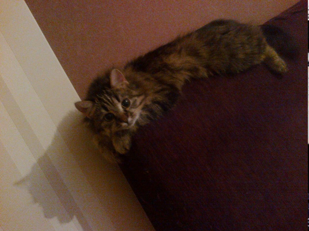 Ольга Дудко | Гомель