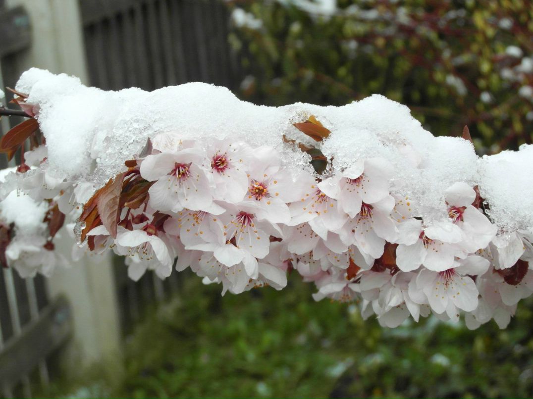 Irina Solovei | Санкт-Петербург