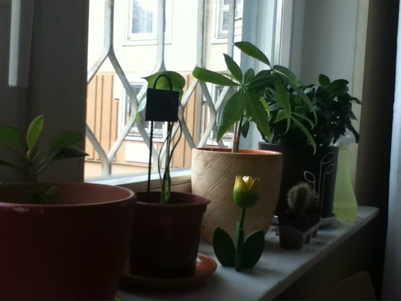 №135, Вера Новикова, 40 лет, Москва №135, Вера Новикова, 40 лет, Москва