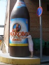 №27 Александр Базылев
