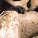 №90, Алина Деревянко, Харьков №90, Алина Деревянко, Харьков