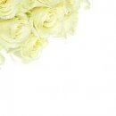 №91, Максим Тарасов, 37 лет, Казань №91, Максим Тарасов, 37 лет, Казань