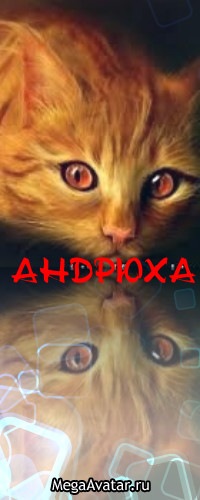 №130, Андрей Плесканюк №130, Андрей Плесканюк
