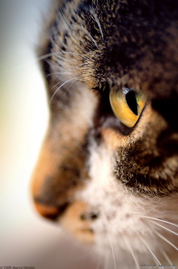 Алиночка Алина ✿ܓ✿ܓ✿ܓ | 