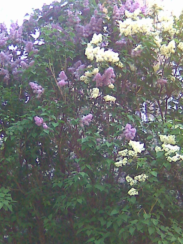 Татьяна Долгова | Подольск