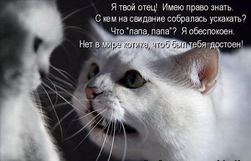 Мария Рабинович | Львов