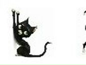 Евгений Лапкин | Мытищи