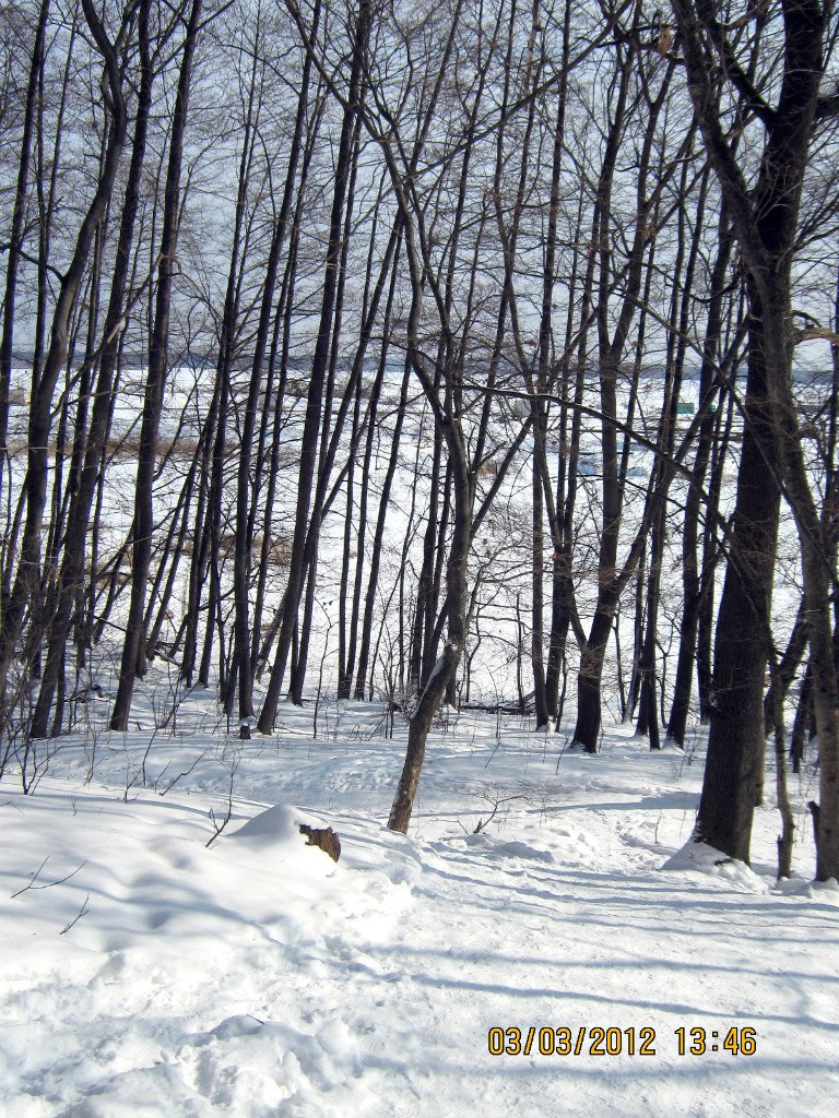 Юлия Горожанкина | Воронеж