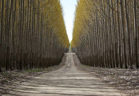 №185, Дмитрий Kma, 124 года №185, Дмитрий Kma, 124 года