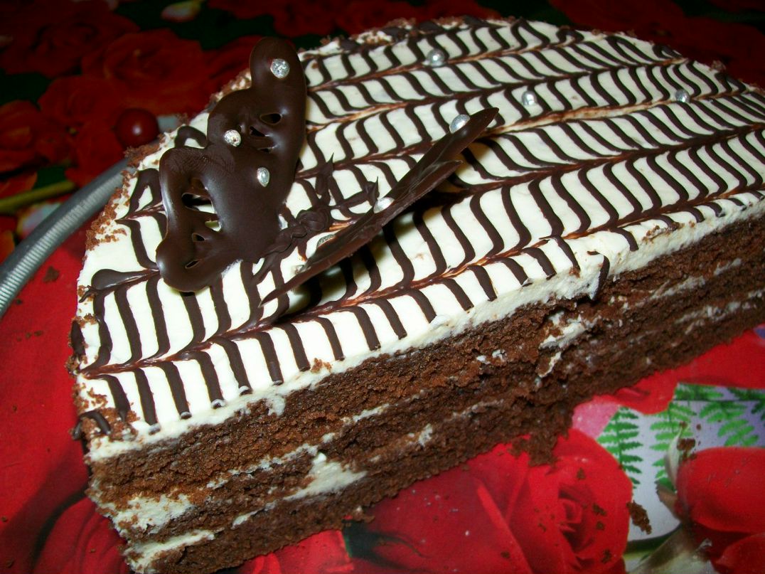 Елена Лупинская Suavis | Одесса