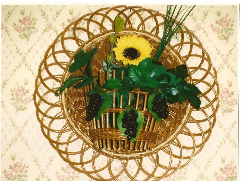 Николай Насолодин | Кострома