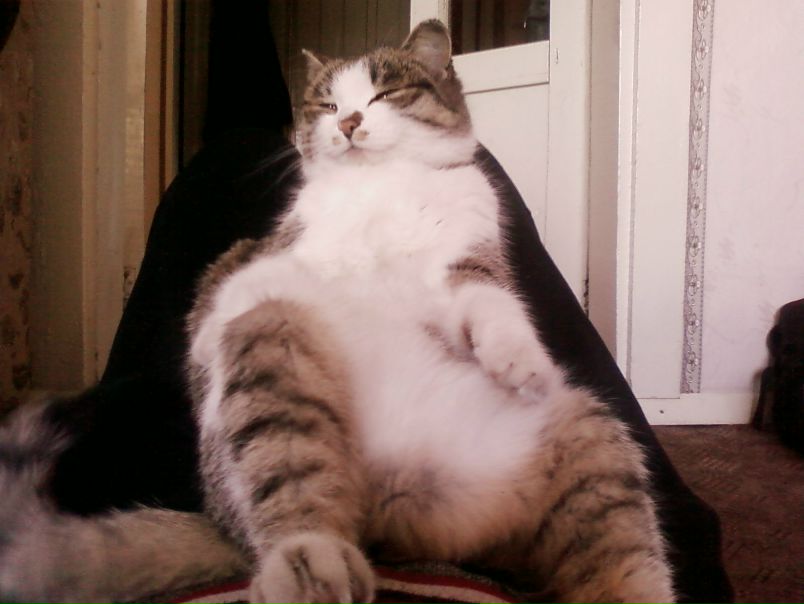 №7, Марина Дугарова, Могойтуй №7, Марина Дугарова, Могойтуй