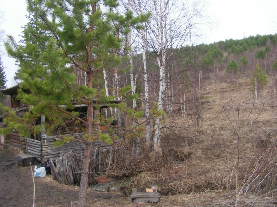 Оля Пильская | Firenze