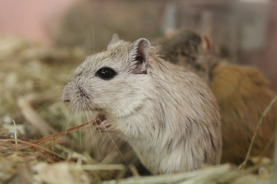 №125, Татьяна Белик, 43 года, Санкт-Петербург, Россия №125, Татьяна Белик, 43 года, Санкт-Петербург, Россия