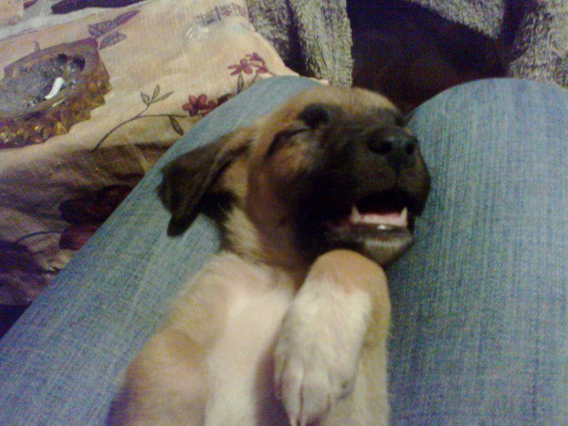 Оксана Завизион | Каменское / Днепродзержинск