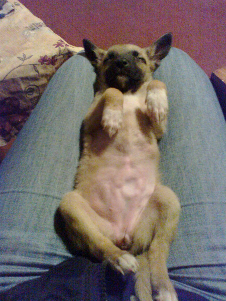 Оксана Завизион | Каменское / Днепродзержинск