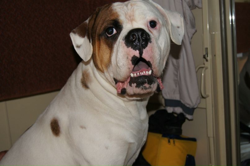 Ольга Исаева | Санкт-Петербург