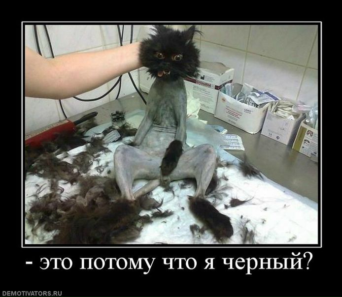 №3, Заур Семенов, 15.3.1994 №3, Заур Семенов, 15.3.1994