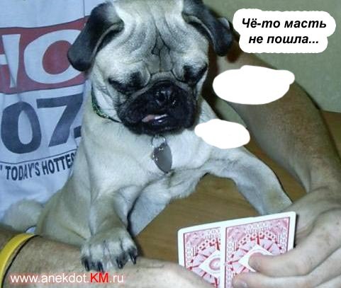 №132, Вероника Фетисова, Пермь №132, Вероника Фетисова, Пермь