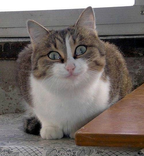 Федор Гришанов | Железногорск