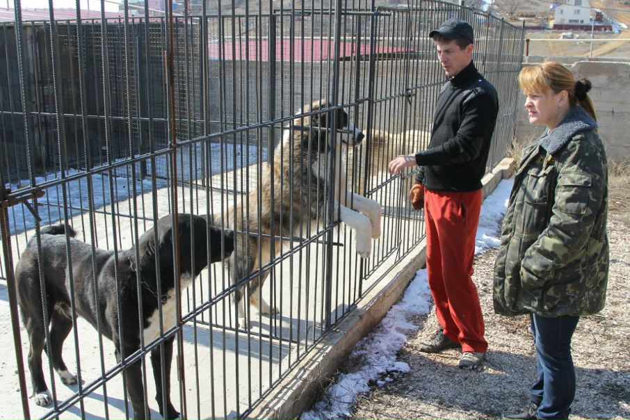 №88, Руслан Гордеев, Львов №88, Руслан Гордеев, Львов