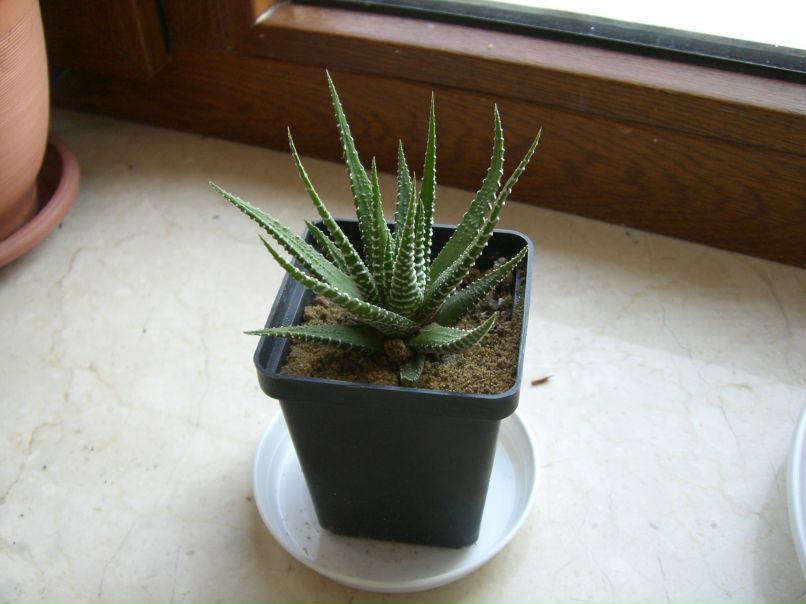 Татьяна Шмаглий | Екатеринбург