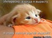 Сергей Дворецкий фотография #2
