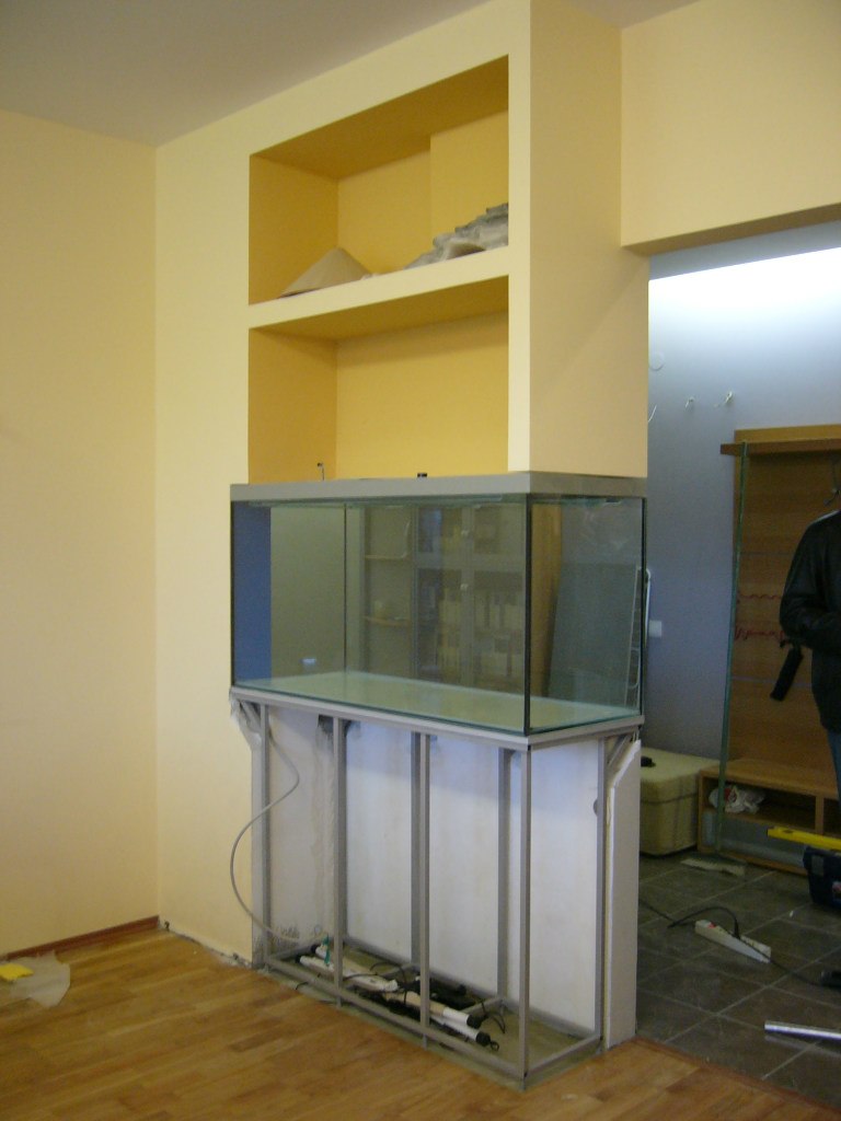 Александр Тимофеев | Санкт-Петербург