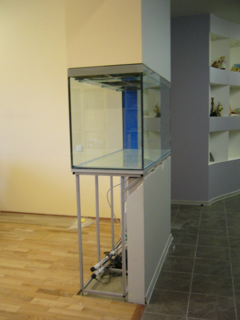 Александр Тимофеев | Санкт-Петербург