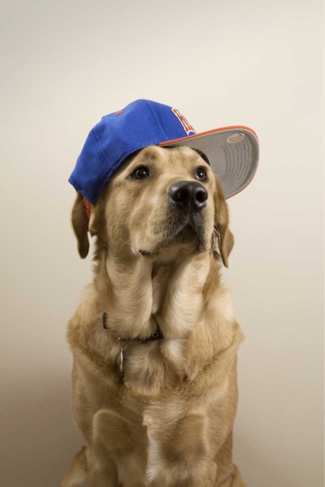 Юлия Гольдман | Москва