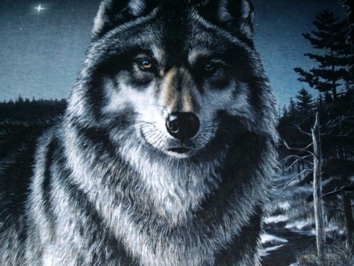 №27, Вячеслав Попов, Улан-Удэ №27, Вячеслав Попов, Улан-Удэ