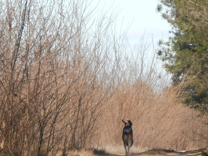 Наталия Баланюк | Вознесенск