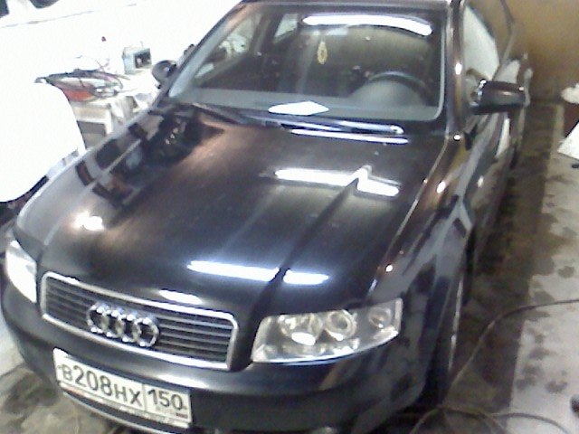 Ольга Кириллова | Химки