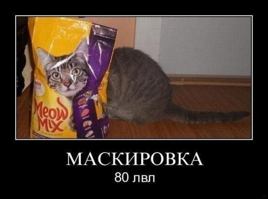 Ольга Шистерова Викторовна | Санкт-Петербург