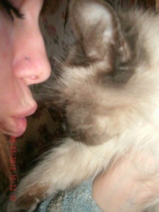 Ольга Никитина ˜”*°•ღ.★♥ tigra♥★ღ.•°*”˜ | Костюковичи