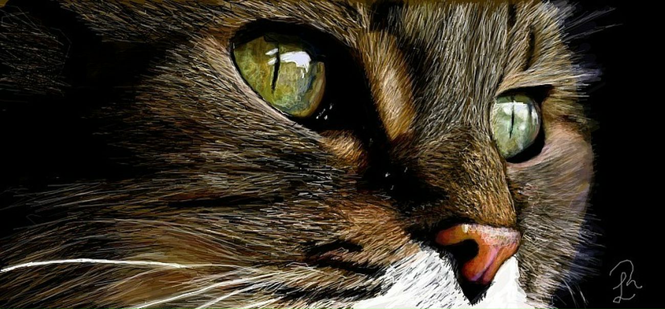 №27, Александр Кива, 39 лет, Мариуполь №27, Александр Кива, 39 лет, Мариуполь