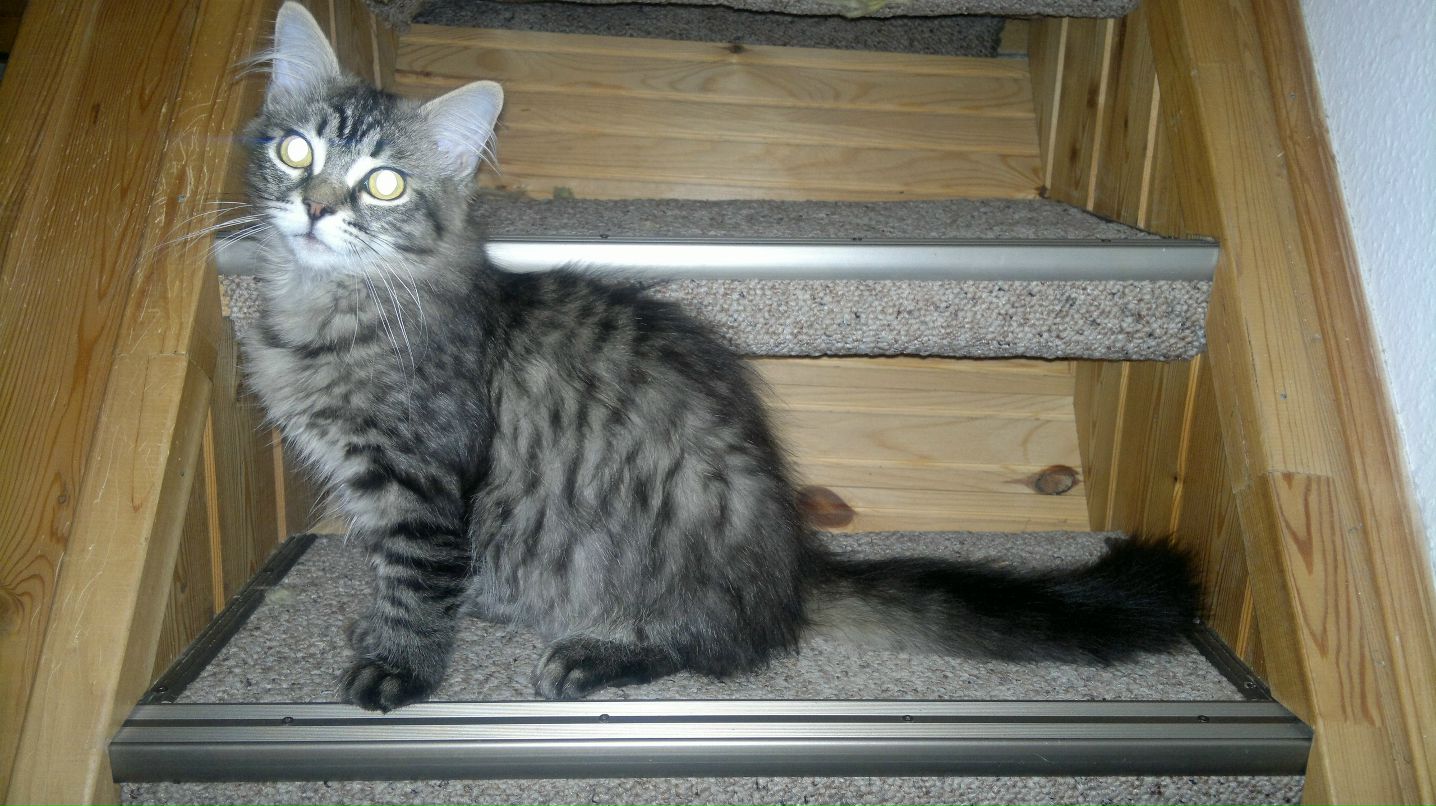 Татьяна Сухенко | Санкт-Петербург