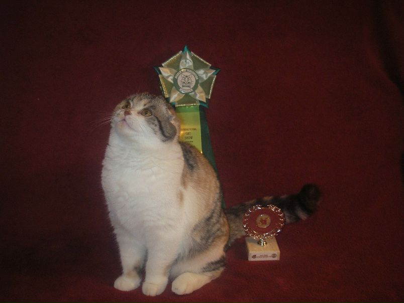 №42, Антон Шемякин, Мурманск №42, Антон Шемякин, Мурманск