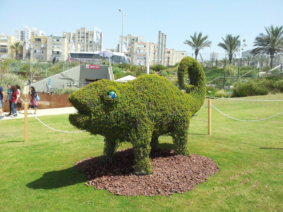 Lior Avshalomov ~!PaRaDiSe!~ | Нетания