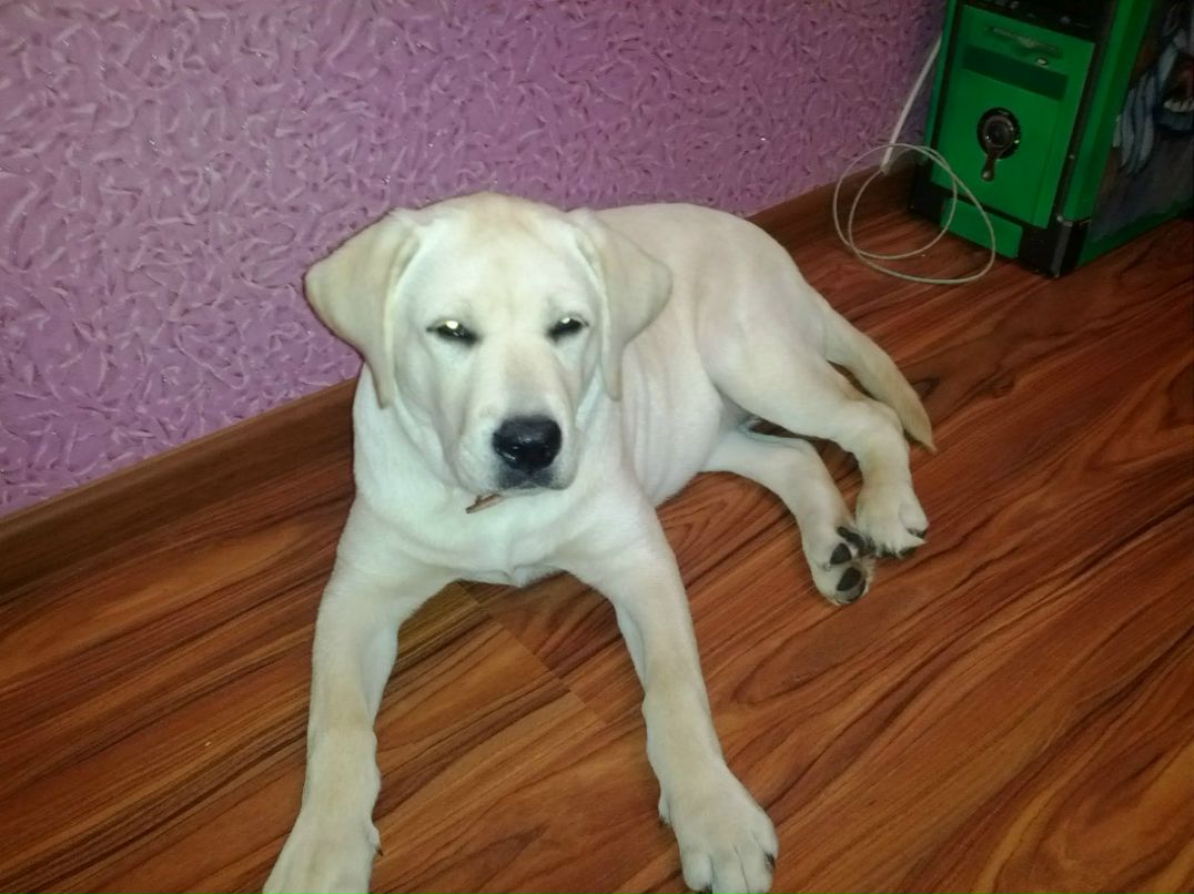 Михаил Пятаков *PiF* | Пермь