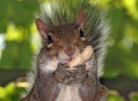 Олег Богданов | Севастополь