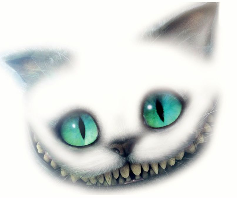 Олег Торопов | Санкт-Петербург