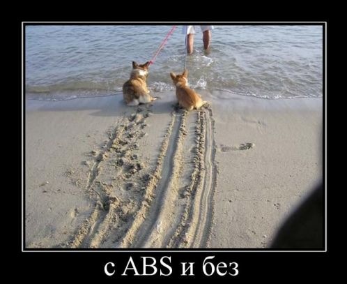 №76, Тимофей Чирков, 33 года, Волгоград №76, Тимофей Чирков, 33 года, Волгоград