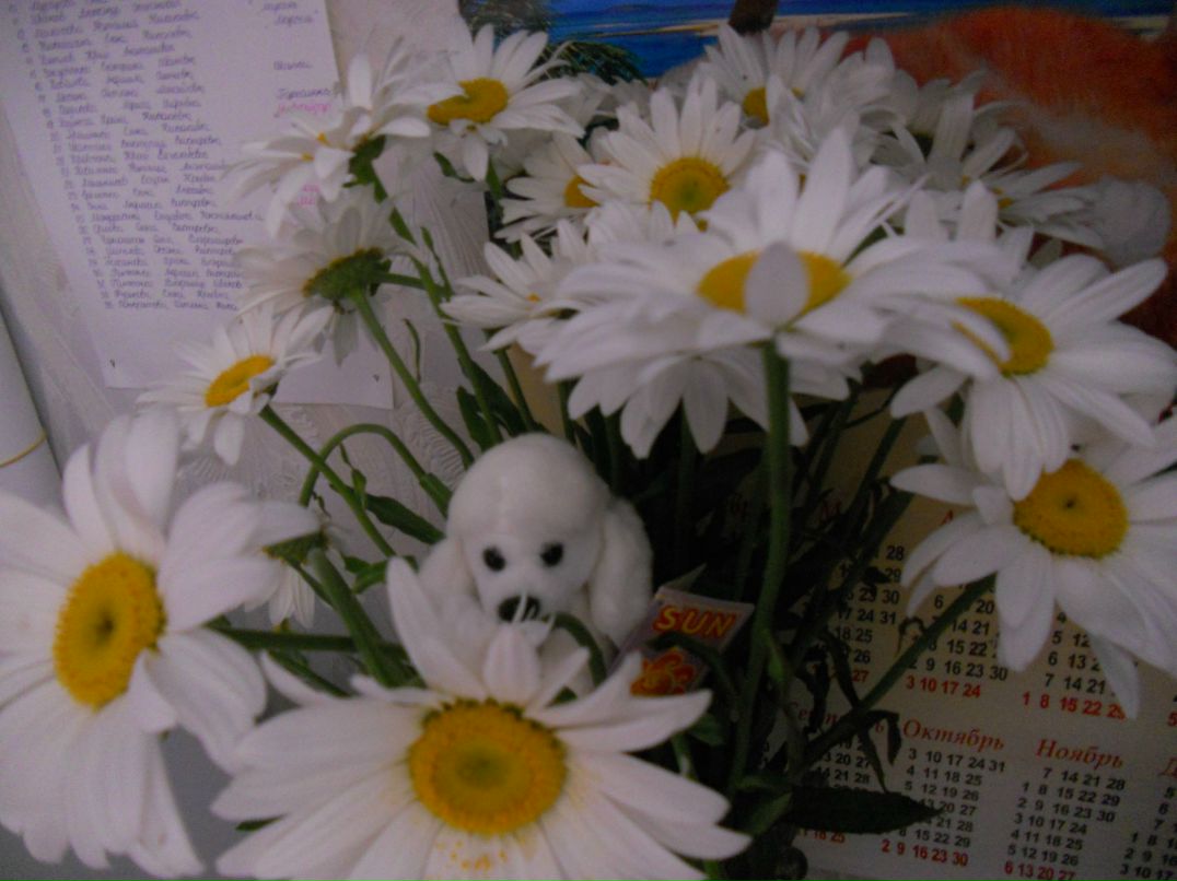 Наталия Жердева | Луганск