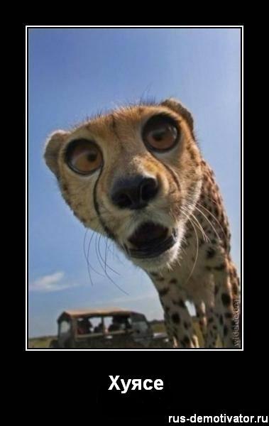 Алексей Черкасов | Барнаул